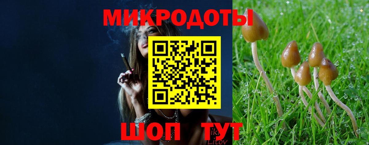 Галлюциногенные грибы Cubensis Первоуральск